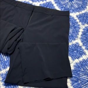 Briggs dress pant